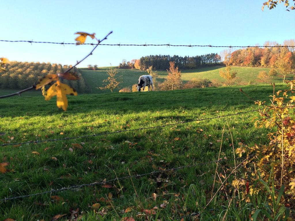Vila O Macra Aubel Pokoj fotografie
